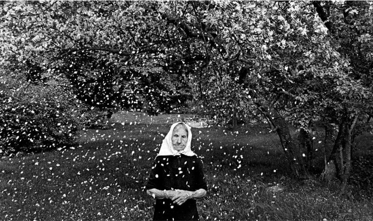 "Цвітіння повсякденності": чому варто відвідати виставку литовських фотохудожників у Львові - Новини Львів - Афіша "Цвітіння повсякденності": чому варто відвідати виставку литовських фотохудожників у Львові - Новини Львів - Афіша