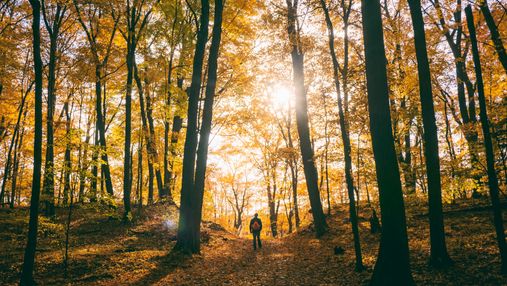 Романтические фотосессии в золотой листве или пикник: 6 лучших парков недалеко от Киева